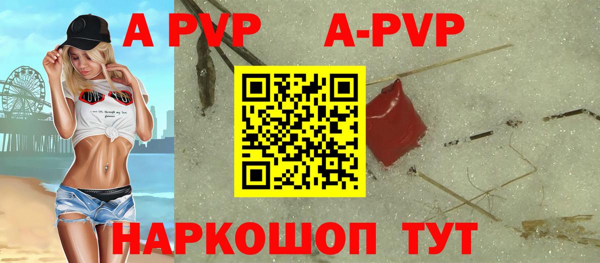A-PVP СК Чехов