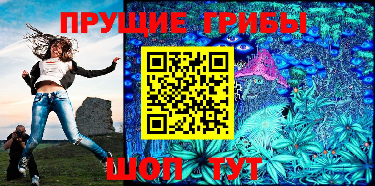 Псилоцибиновые грибы Psilocybe  Вход с VPN  Галлюциногенные грибы ЛСД  Чехов 