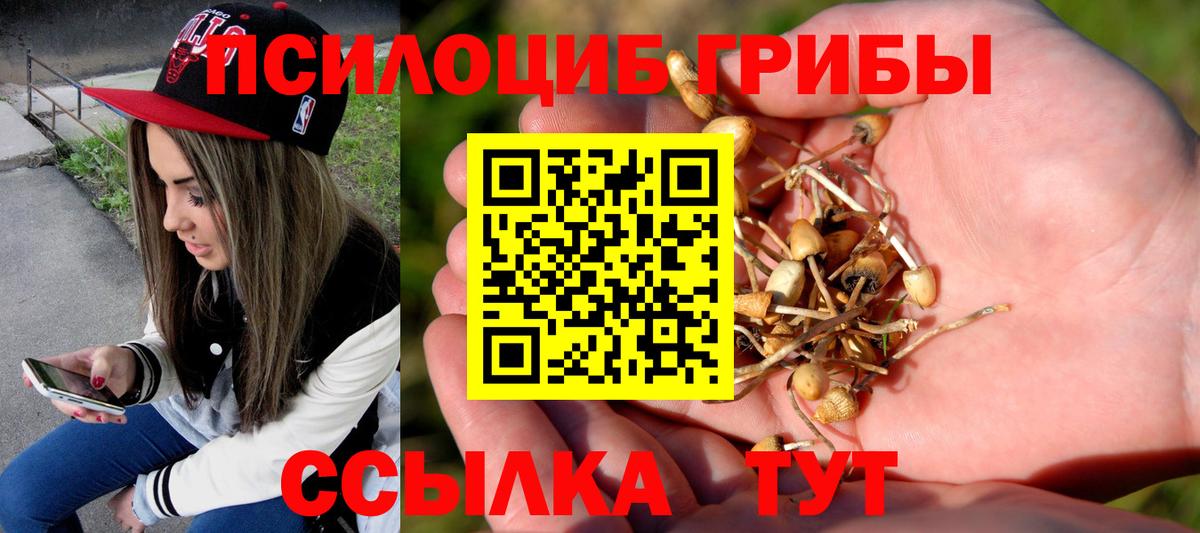 Псилоцибиновые грибы Psilocybine cubensis Чехов